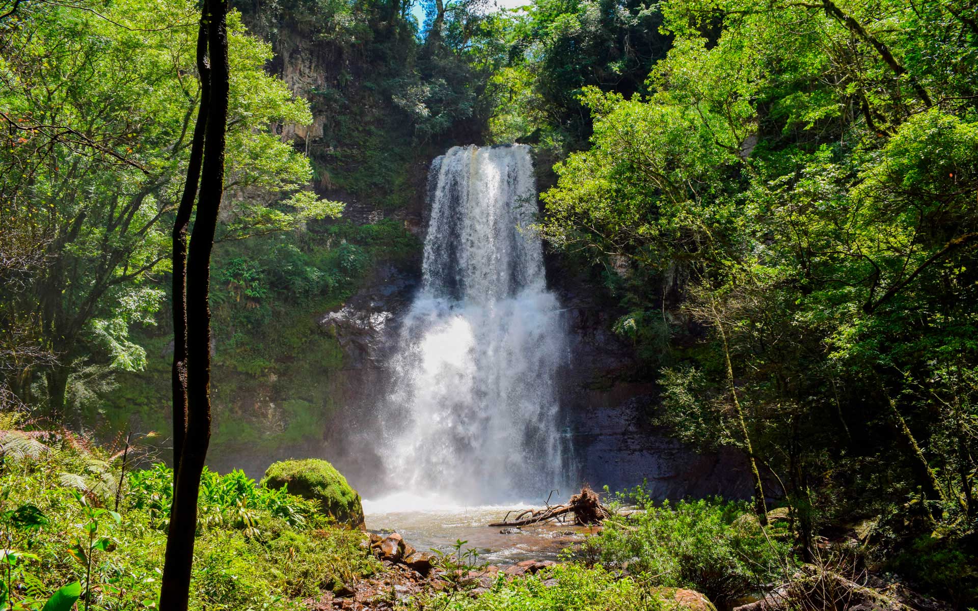 Imagem de Curta a natureza e conheça a cachoeira Água Verde em Vargeão